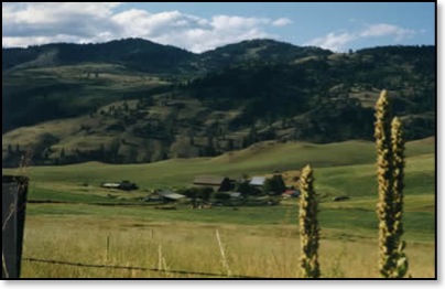 summerranch